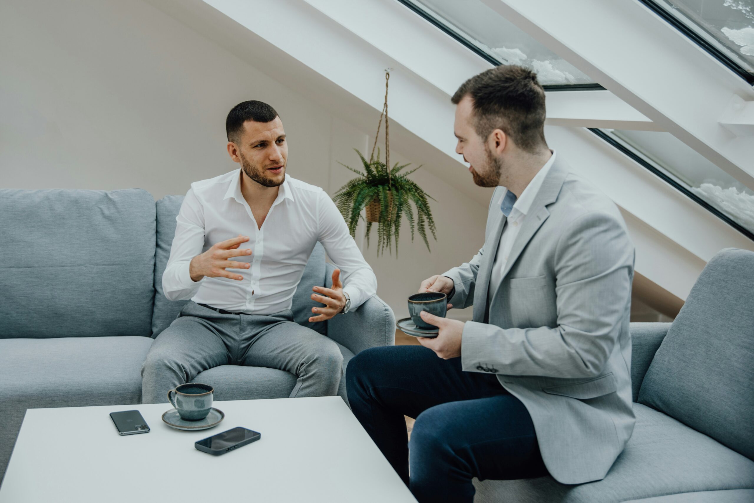 Check SEO for Website